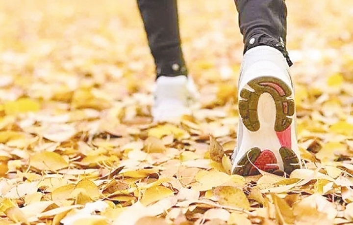 秋季健康养生六大原则