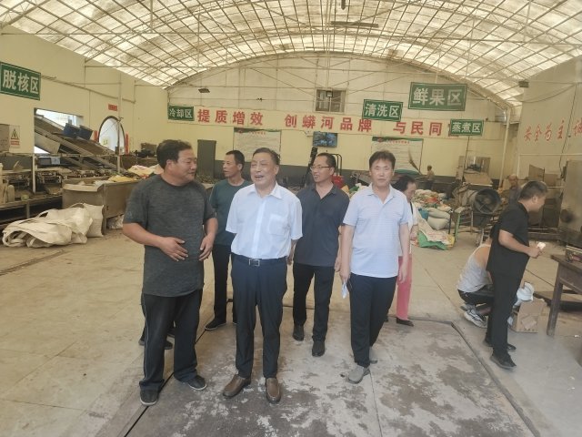 阳城县桑林村发展山茱萸产业的调查